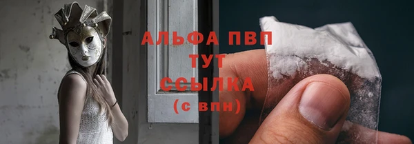 трава Надым