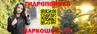 твердый Будённовск
