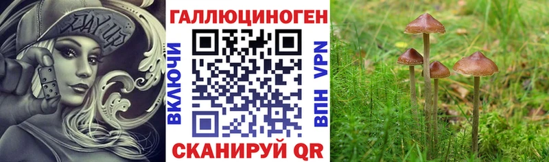 наркота Воронеж Псилоцибиновые грибы MAGIC MUSHROOMS
